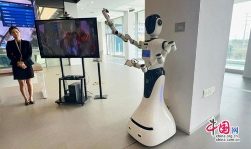 中外媒体浙江行 沉浸式见证中国数智发展的浙江答卷